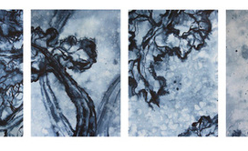 Серия "Лопухи"