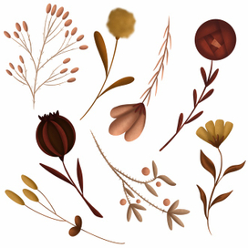 Цветочные элементы. Ботаническая иллюстрация