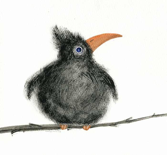 Птенец-воронец