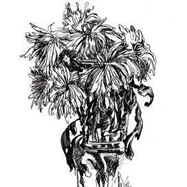 Хризантемы-1