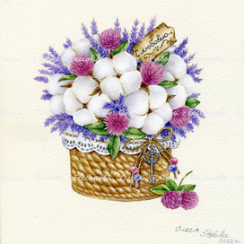 " Клевер в хлопке ".