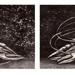 "Моя любовь"