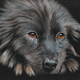 Преданность 