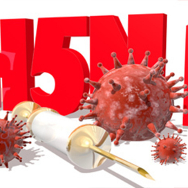 вирусология