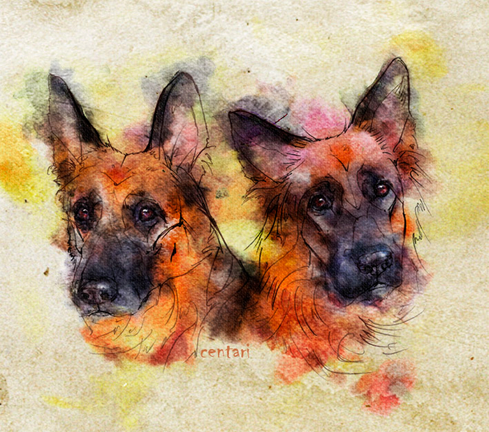 Мульяна и Квелле