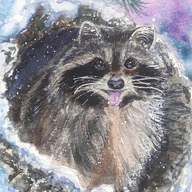 Енот. Серия открыток "Зимняя сказка"