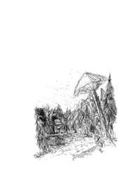 Грибной лес