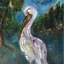 Предрассветный пеликан 