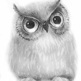 Сова 