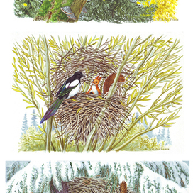 Белкин дом - 2.