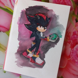 Shadow The Hedgehog 2024