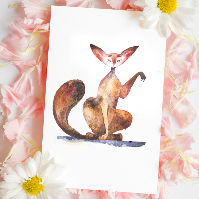 Котиковое "мурр"