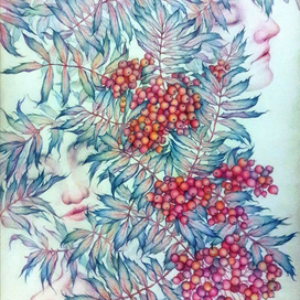 Душа рябины