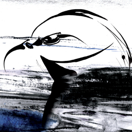 «Обманчивый орел» – февраль