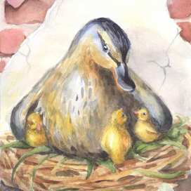 Утиное семейство