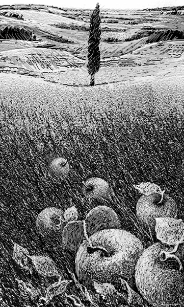 К сборнику стихов