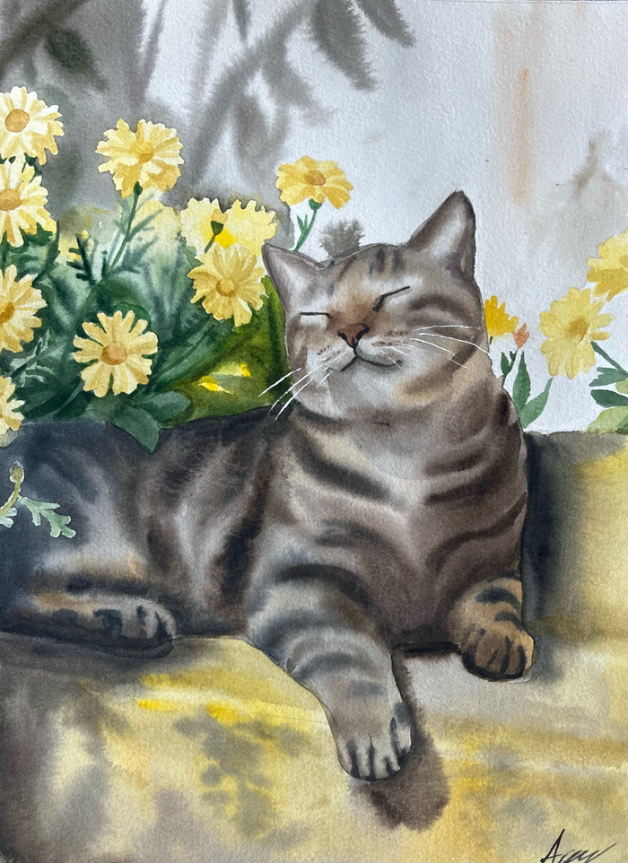 котик