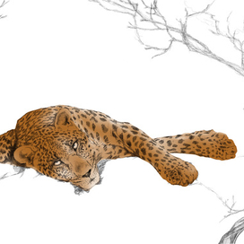 Большая кошка