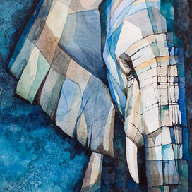 Немного о слонах