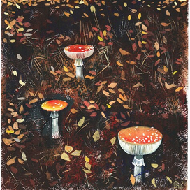 Грибной сезон