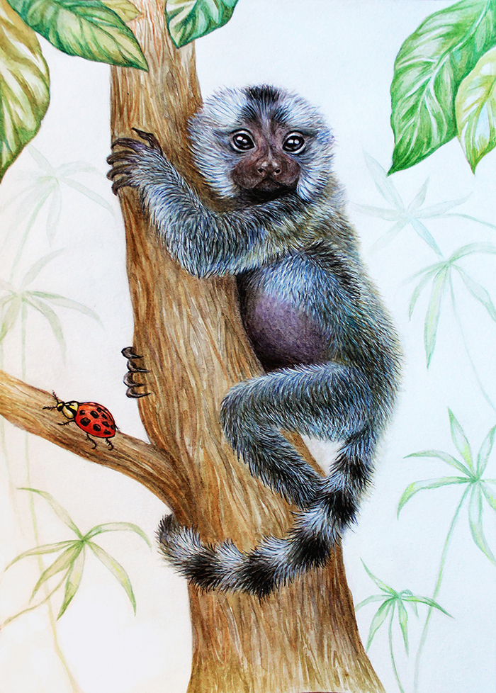 Игрунка-Маринка