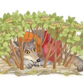 Волк спрятался