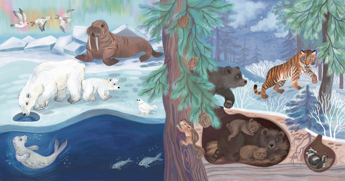 Кто где живёт. Издательство Робинс