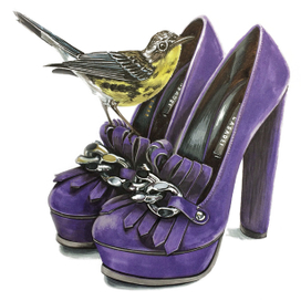 птичка и туфли Casadei