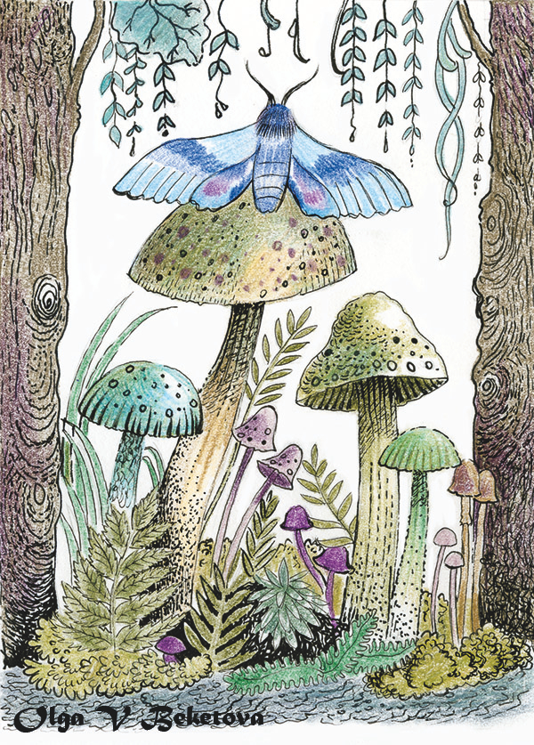 Осенний полдень