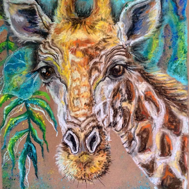 взгляд жирафа