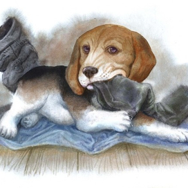 Чинк (заставка)