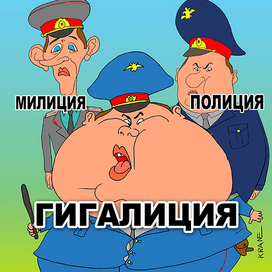 Полное лицо