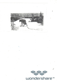 Иллюстрация к книге "Волчья тоска"