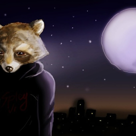Night Racoon