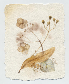 то,что раньше было летом...