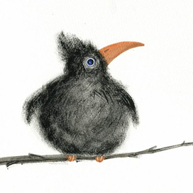 Птенец-воронец