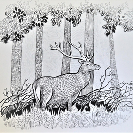 волшебный лес