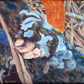 Весна,пробуждение.