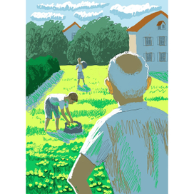 Вино из одуванчиков 