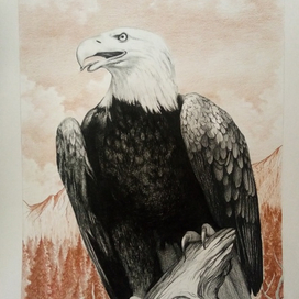 Картина "Горный орел" формат 50х70см