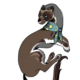 Хорек в платочке