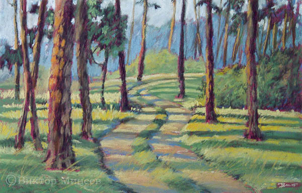 Дорога в сосновом лесу