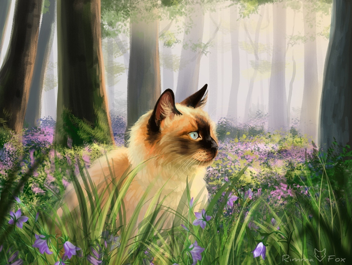 Кошка в волшебном лесу