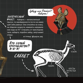 Иллюстрация для журнала о животных