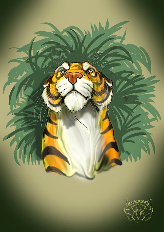 Концепт Шерхан...