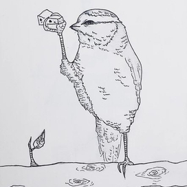 Хочешь сыр?