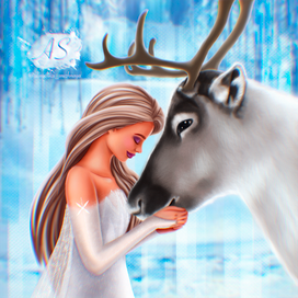 Волшебство зимы