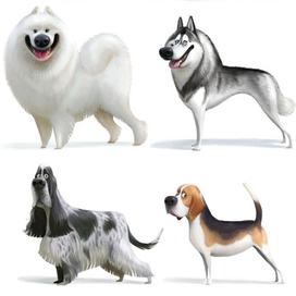 Собаченьки-2