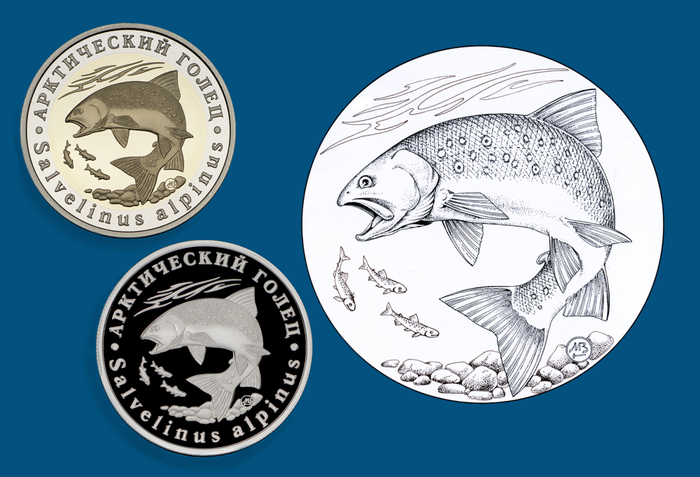 Арктический голец. Серия Красная Книга СССР