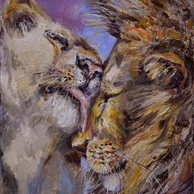 Любовь львов.